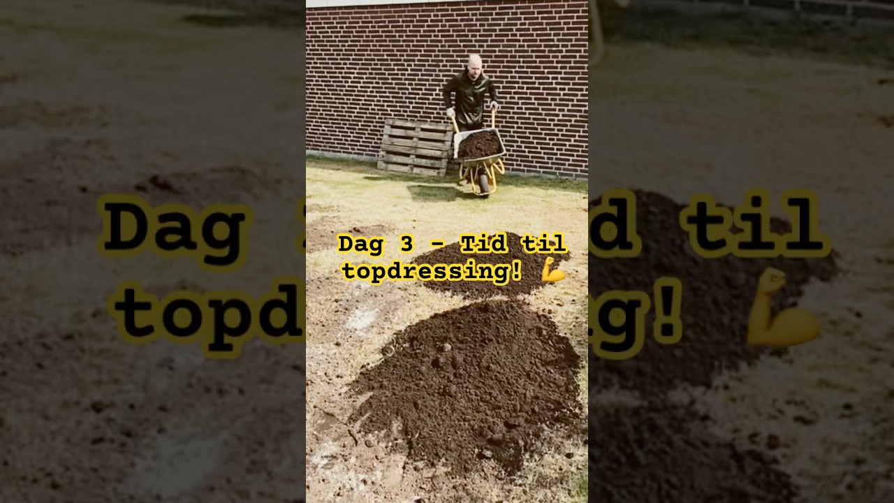 Dag 3 &ndash; Topdressing og planering af gr&aelig;spl&aelig;nen (del 1/2) 🌱 #gr&aelig;spl&aelig;ne #topdressing #gr&oslash;npl&aelig;ne #have