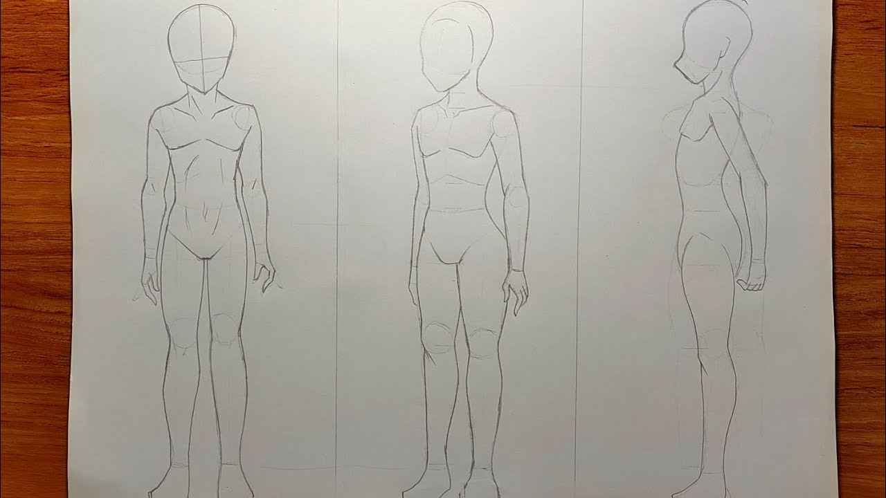 تعلم رسم جسم الأنمي ذكر بثلاثة زواية خطوة بخطوة Learn to draw the body of a male Anime 