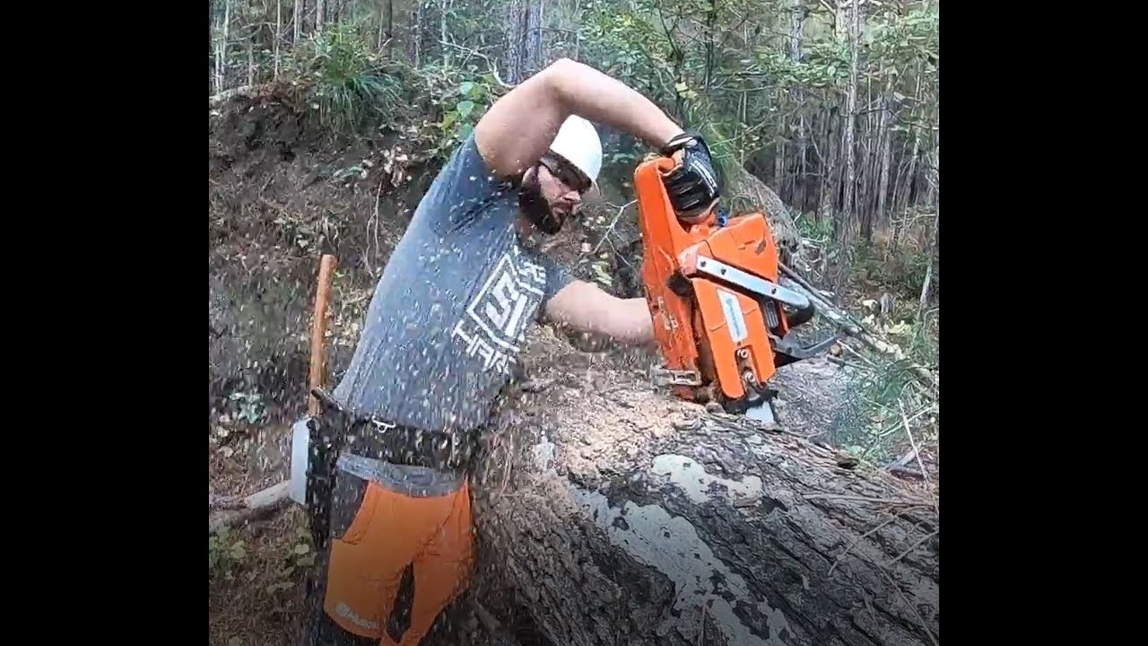 Felling A Dangerous (And Massive) Leaning Tree In A Swamp