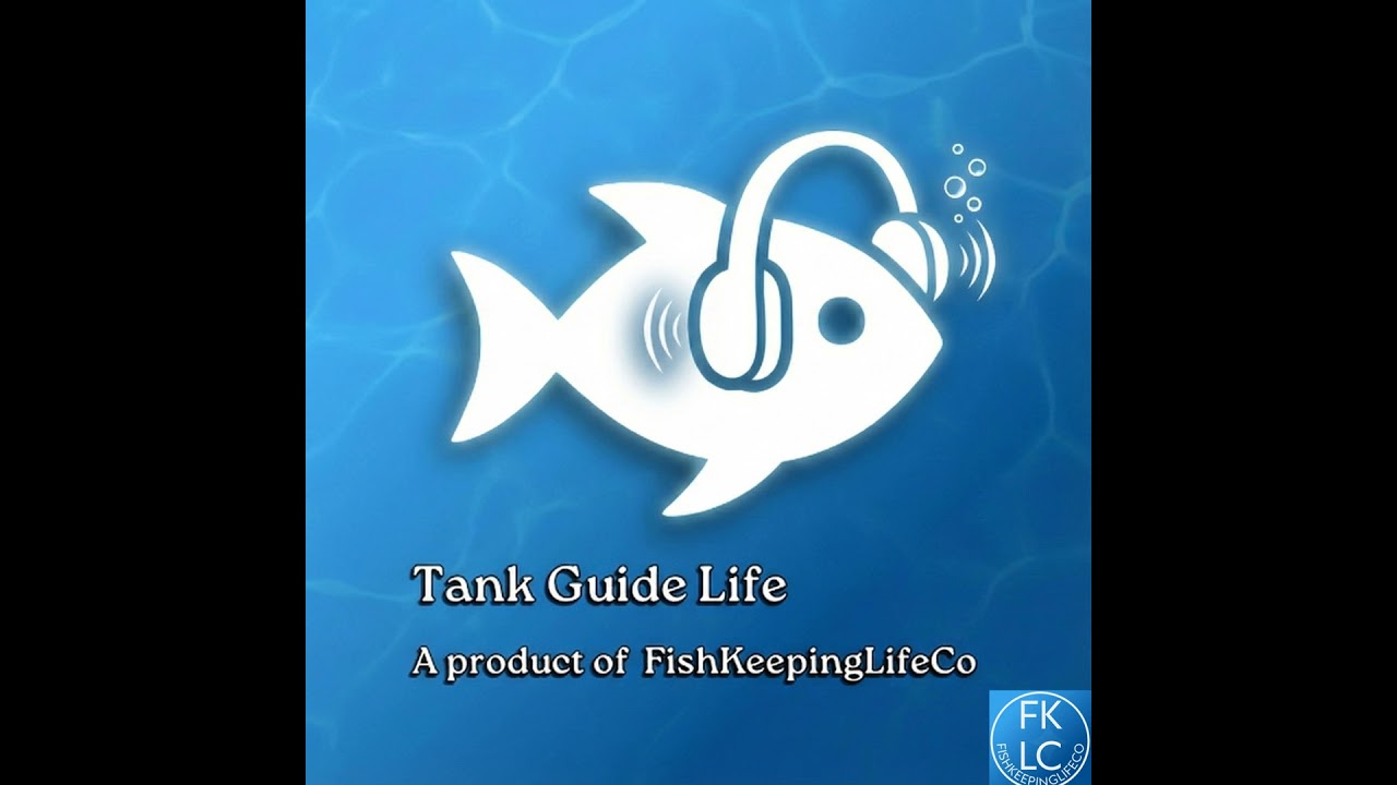 Episode 000 — Welcome to Tank Guide Life