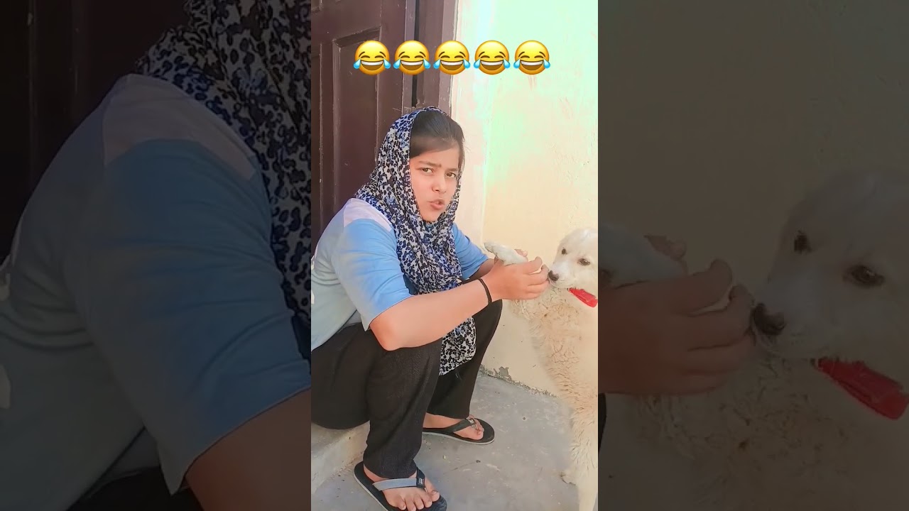 #comedy #funny #youtubeshorts #trendingshorts #shortvideo #trending #viral #ytshorts #shortsfeed