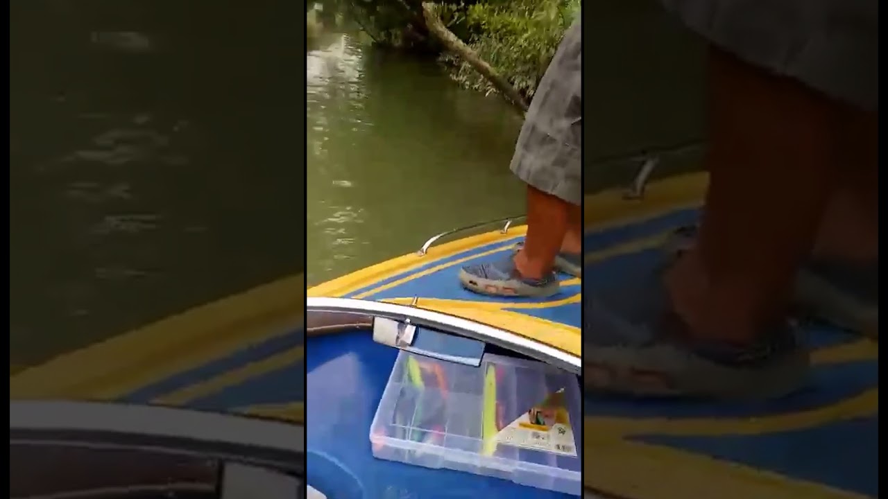 Mancing BLACK BASS berau