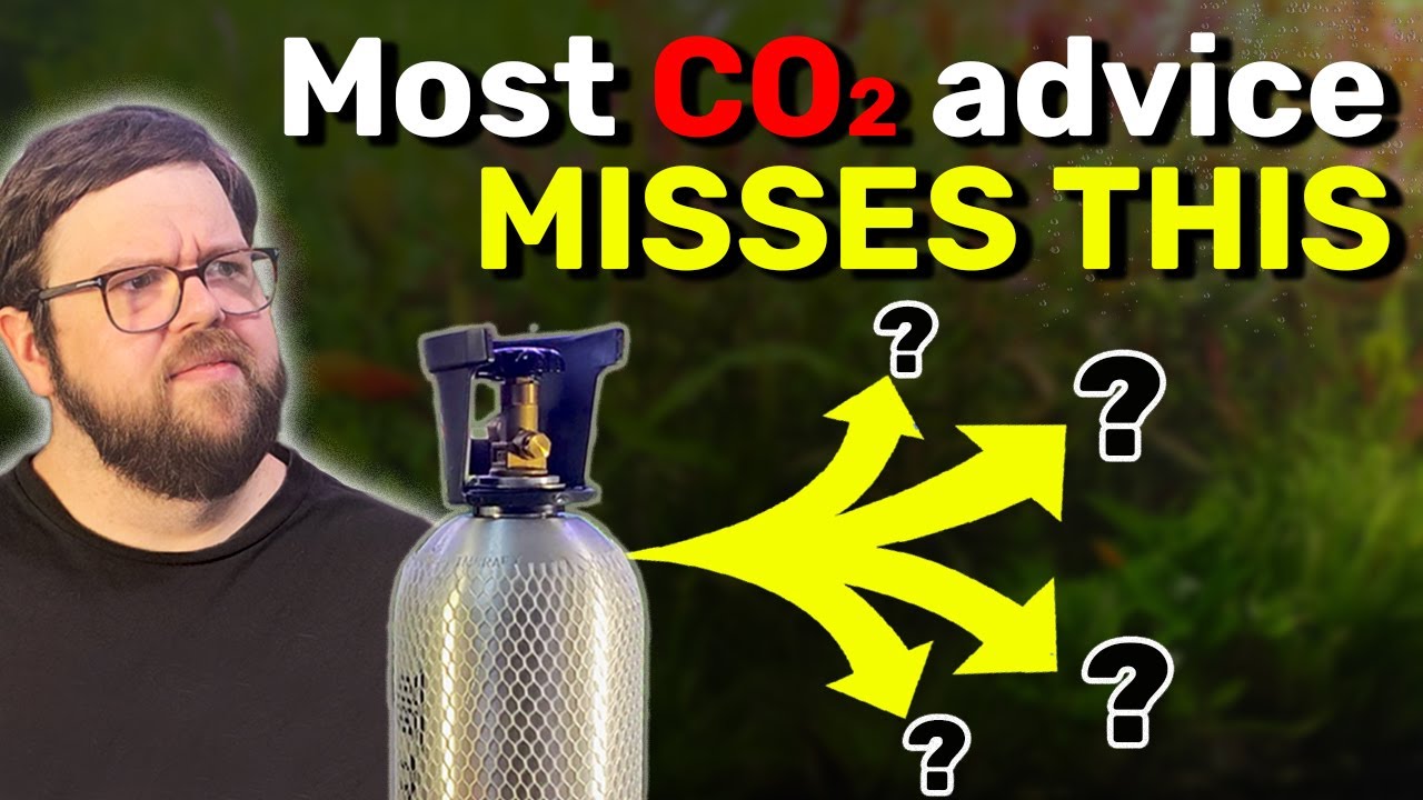 Aquarium CO2 Injection: An Honest Conversation