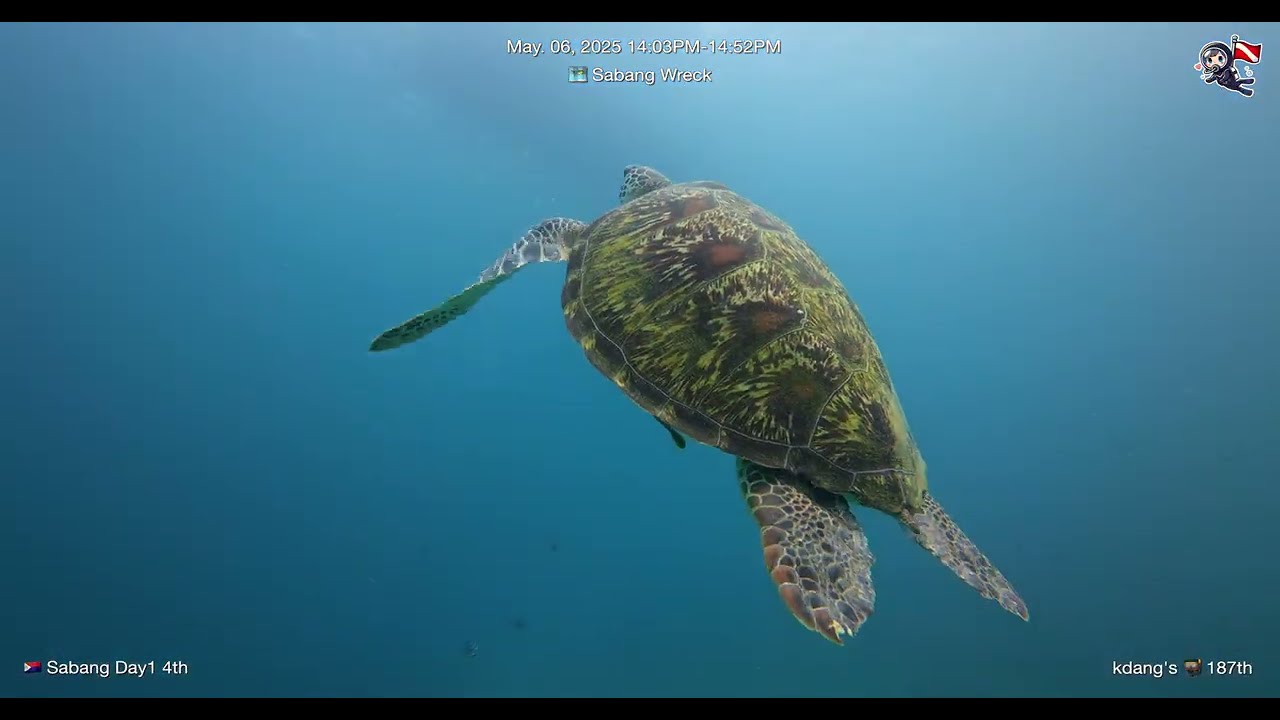 2025 May Day1 Sabang Dive