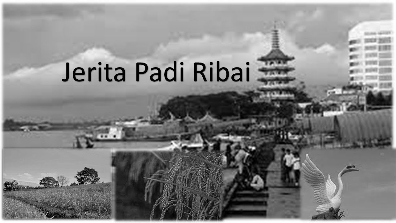 Padi Ribai- Jerita Ditusi Tuai Thomas Tegong Laka