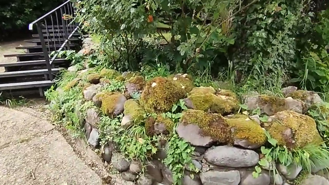 Pine River -горный отель в пгт. Красная Поляна, г. Сочи. Экскурсия онлайн для Тебя!