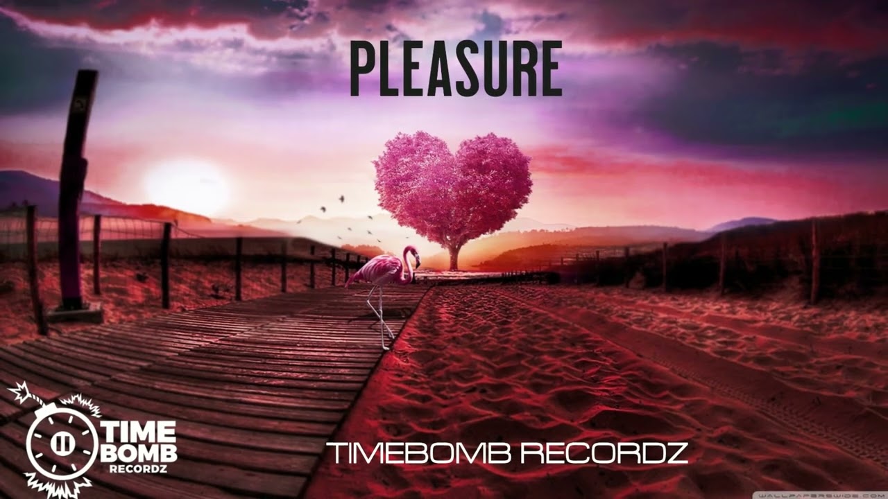 Dancehall Riddim Instrumental - Pleasure ( Prod By Timebomb Recordz )