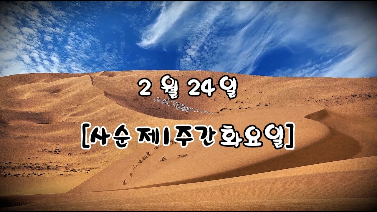 매일미사 (독서, 복음, 강론) 2026년 2월 24일 [사순 제1주간 화요일] ㅣ이현종 세베리노 신부님강론 ✠ 강욱남 (루치오) 영상편집