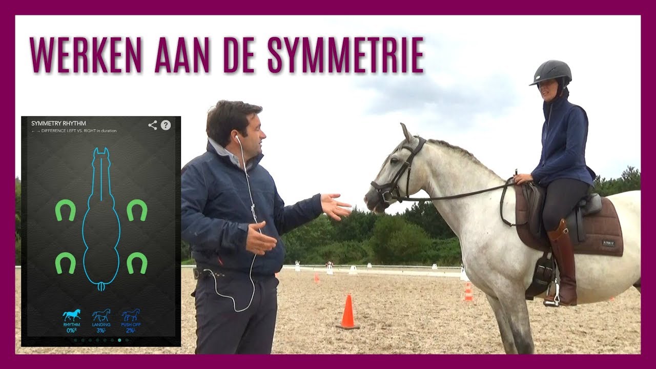 Super toffe les van WE kampioen Nuno Avelar | snuitable