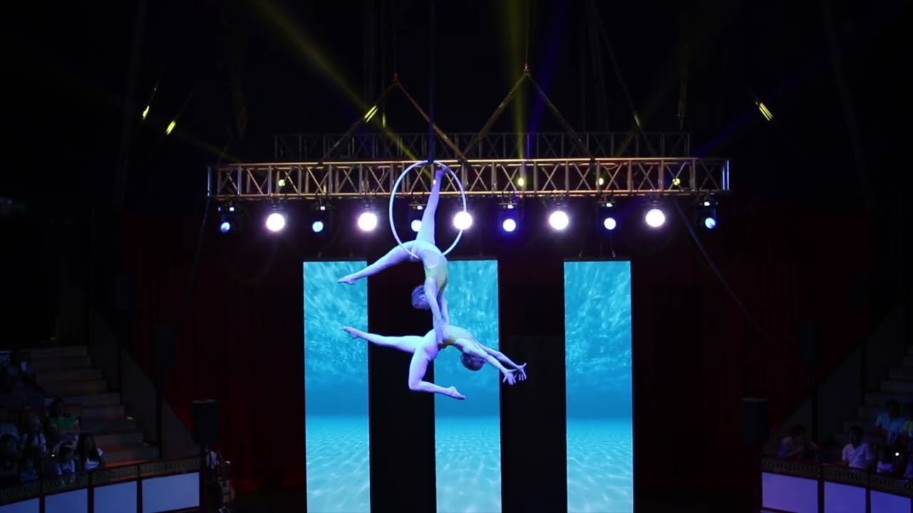 Aerial Twins - Aerial Hoop Duo Act 2023