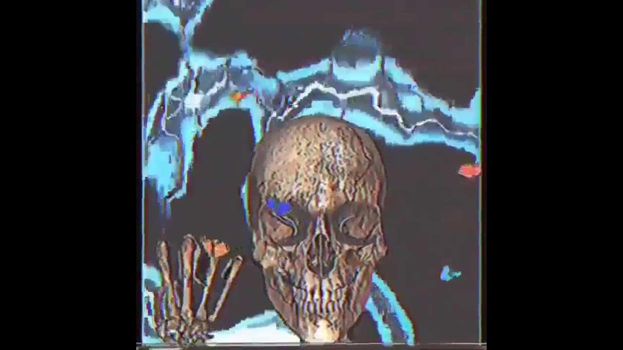 (FREE) Playboi Carti x Pierre Bourne 