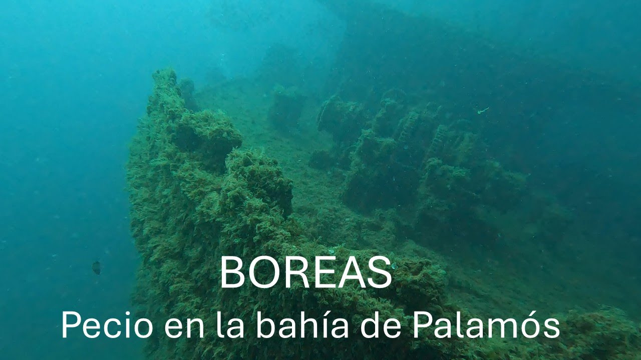 Boreas. Barco hundido en la bahia de Palamós