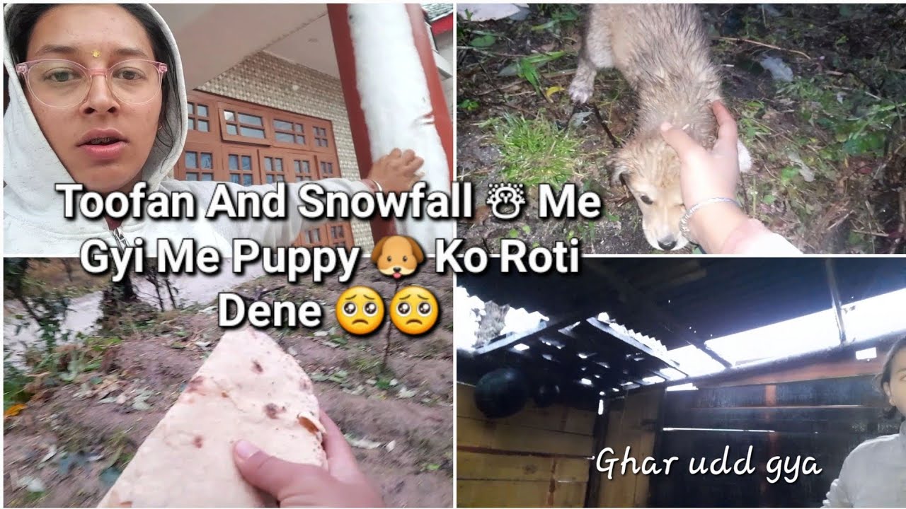 Toofan And Snowfall ☃ Me Gyi Me Puppy 🐶 Ko Roti Dene🥺🥺