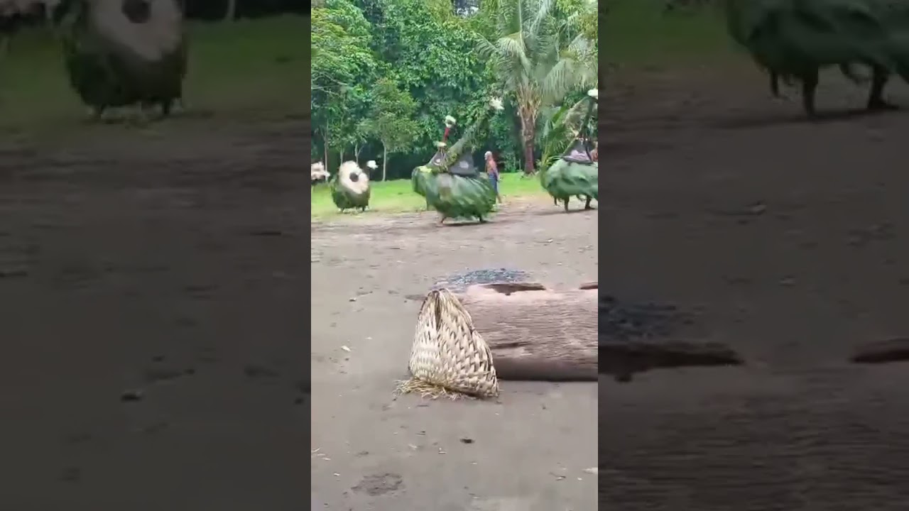 Tubuan Dance, Namatanai, New Ireland Province, Papua New Guinea