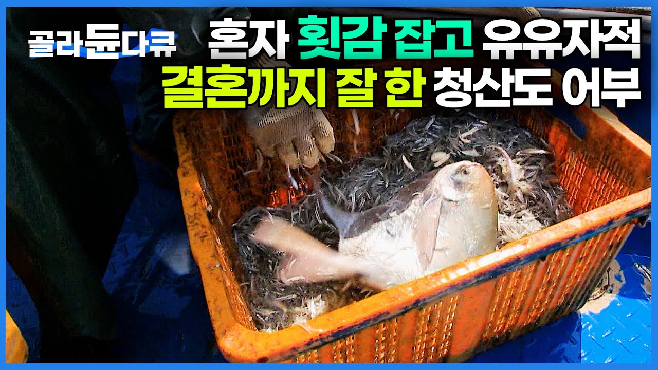청산도에 팔자 좋은 어부가 산다. 홀로 고기 잡고 돌아오면 반겨주는 사랑스러운 아내와 딸｜멸치잡이｜한국기행｜#골라듄다큐