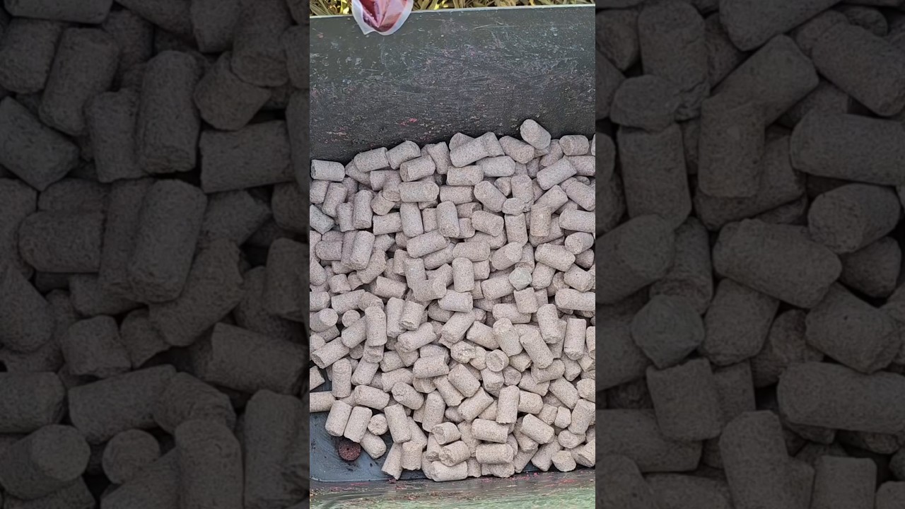 чем кормить карпа #рыбалка #ловлякарпа #карпфишинг #fishing #carpfishing