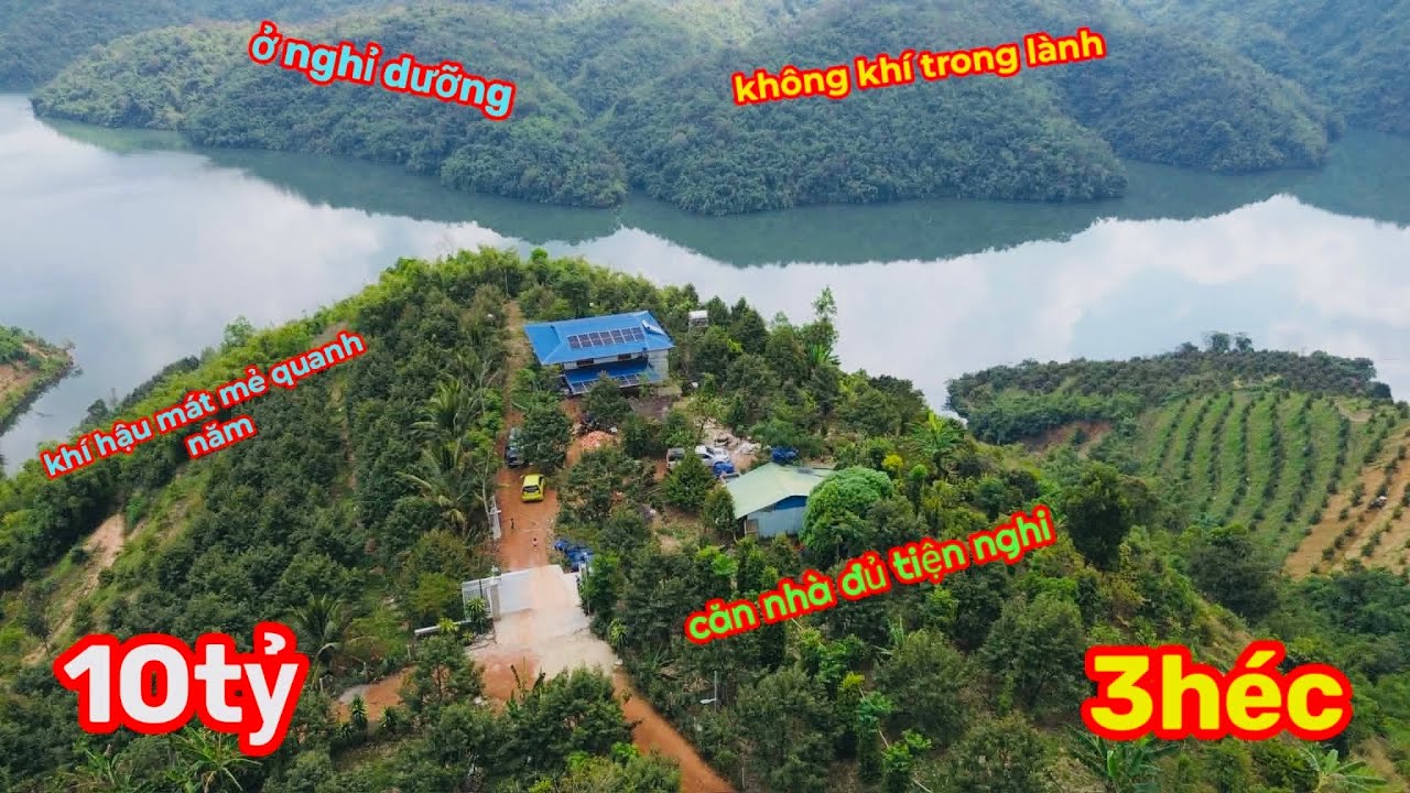 Bán Căn Nhà Vườn 3 héc,Sầu Riêng đang thu mạnh,khí hậu mát mẻ,phù hợp Nghỉ Dưỡng,Du Lịch,giá 10 TỶ
