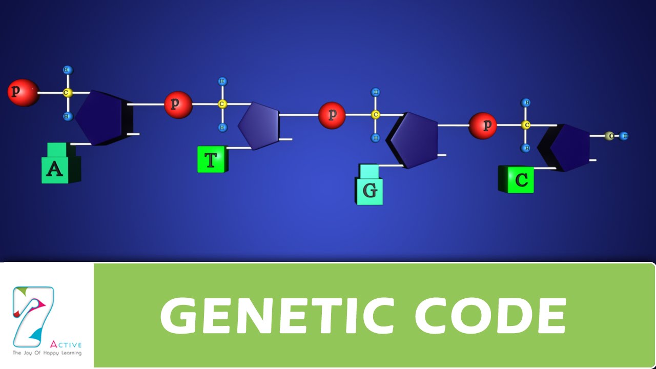 GENETIC CODE