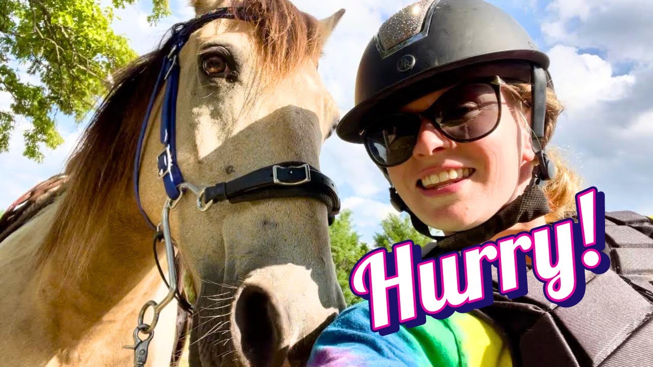 TAKING 4 HORSES OUT ON A HACK!