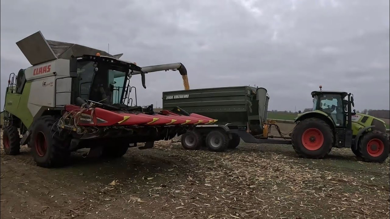 Ostatnie poletko kukurydzy 🌽 Coraz bliżej końca 🏁