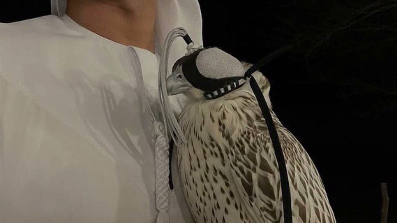 حطيت لي عود على المدخن يفوح بطيء