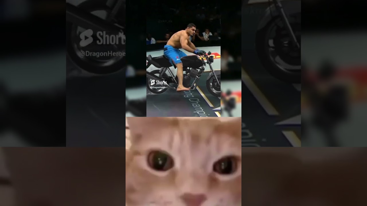 memes Ufc                                          #memes #memesbr #ufcfightnight #ufcbrasil #ufcbr