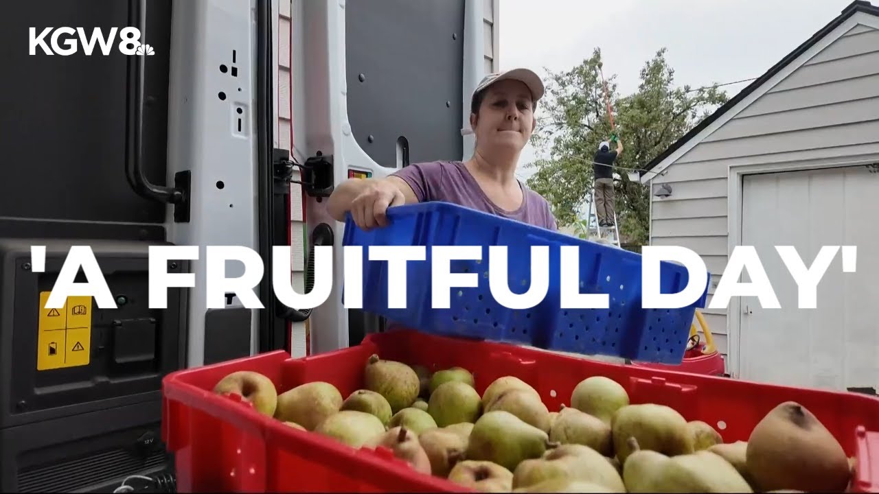 Nonprofit seeks to map fruit trees around Portland area, harvest fruit before they go bad