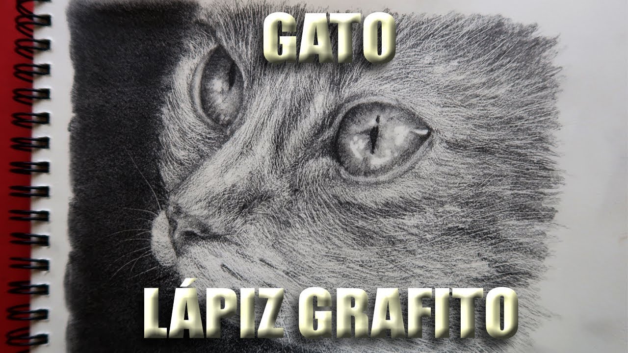 C&Oacute;MO HACER EL PELAJE DE UN ANIMAL | PELO DE GALO