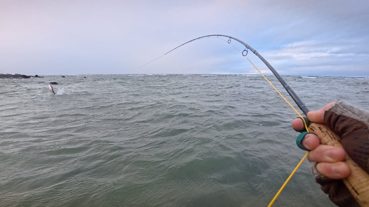 Рыбалка от рассвета до заката в надежде поймать крупную рыбу.