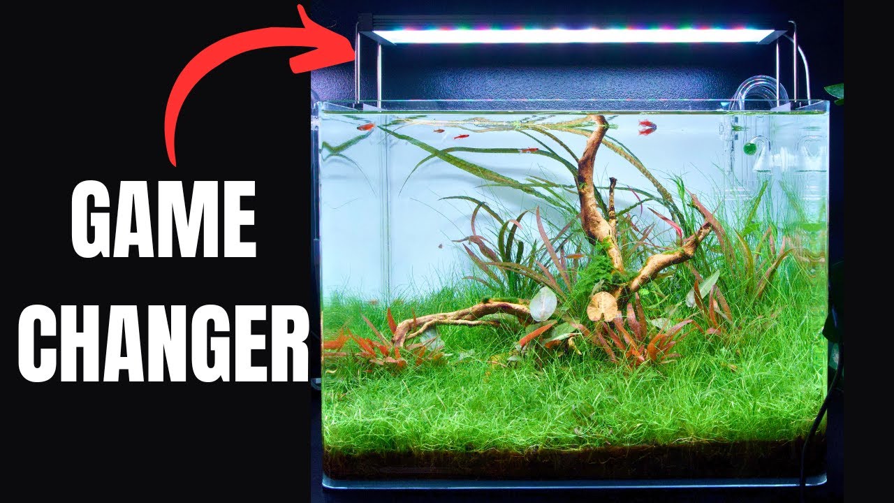 A Smart LED Light That Makes Growing Aquatic Plants Easier?