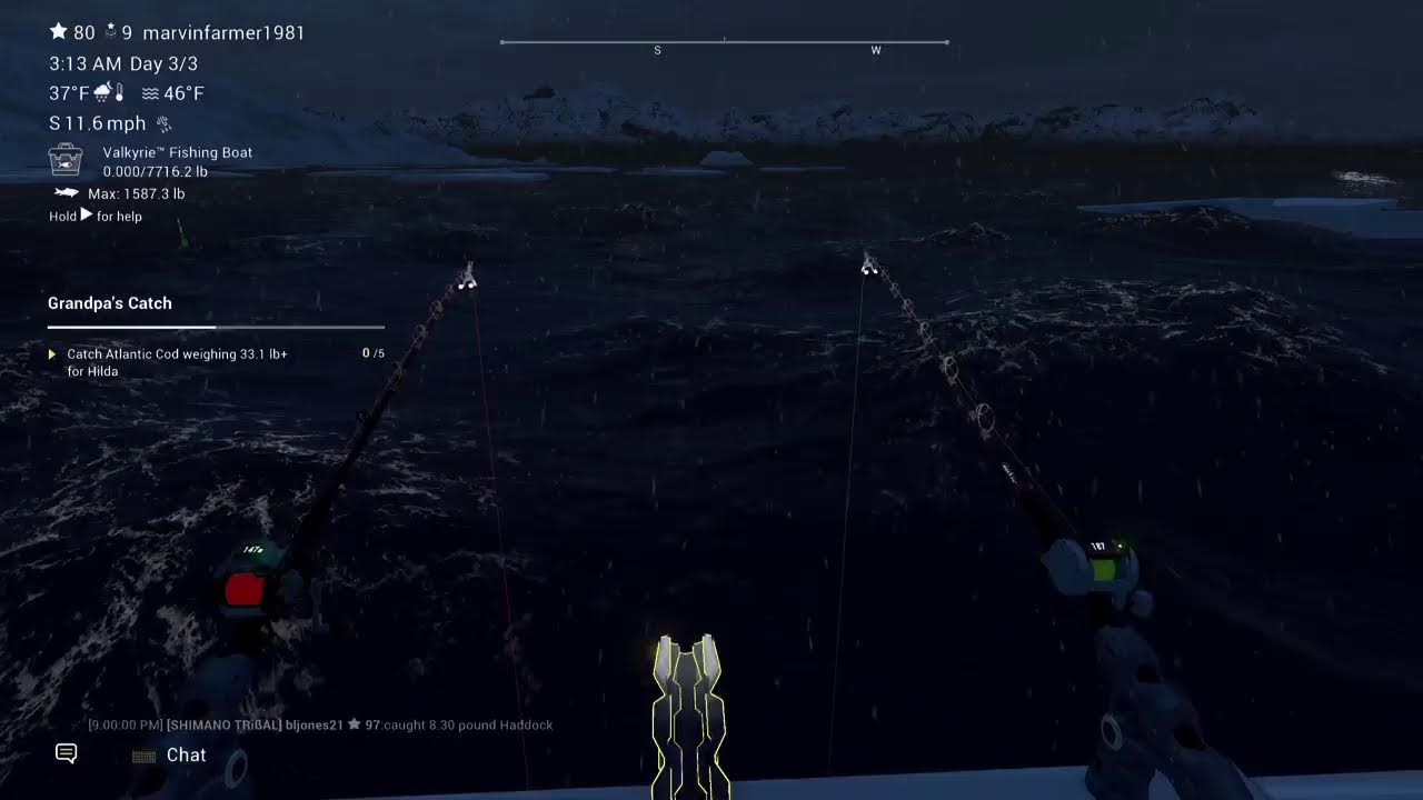 Shark fishing