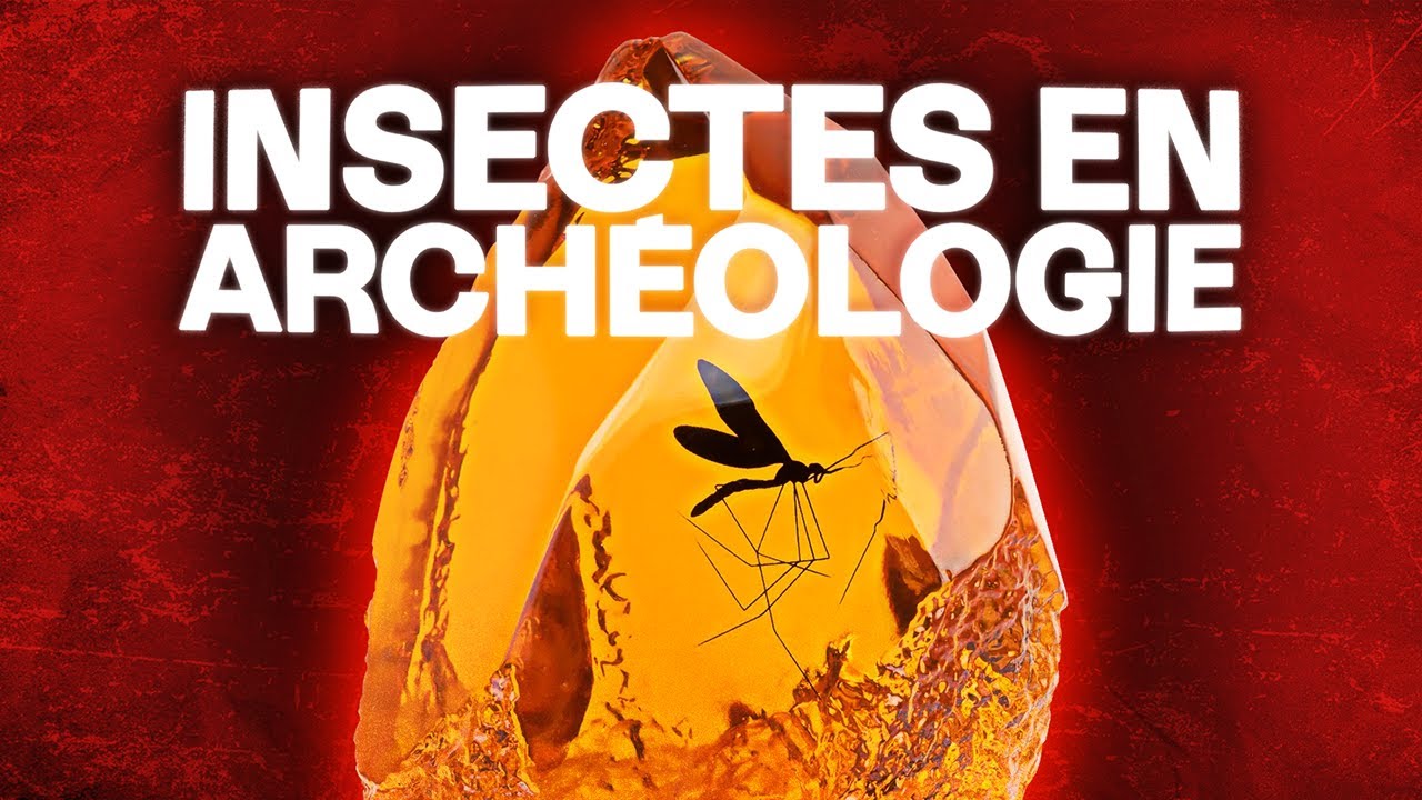 Les secrets des tombes révélés grâce aux insectes  - Entretien avec Lisa Richelmi