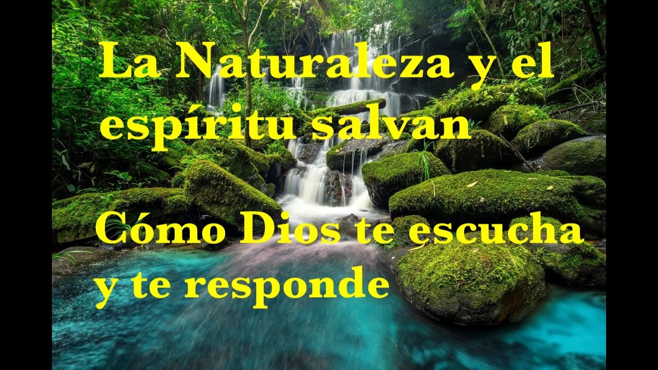 Dios te escucha y te responde para su salvación, es la creación. La Naturaleza y espíritu salvan.