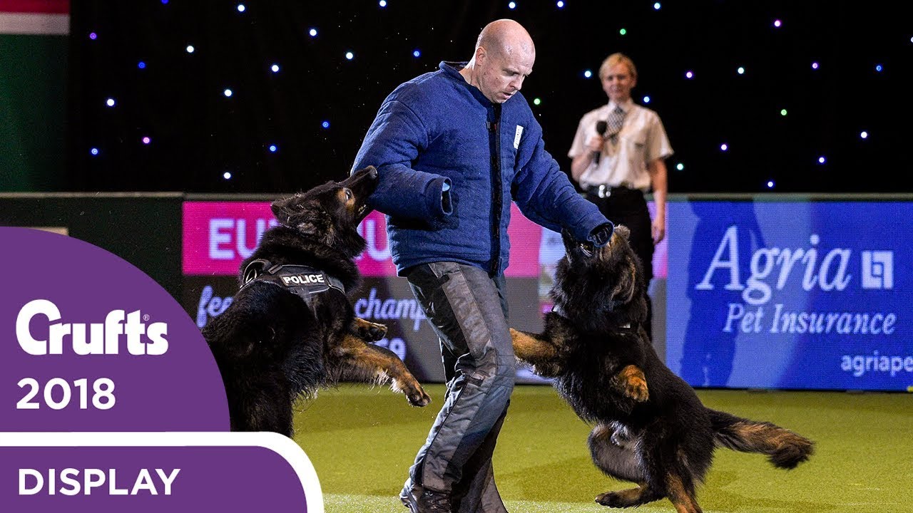 West Midlands Police Dog Display | Crufts 2018
