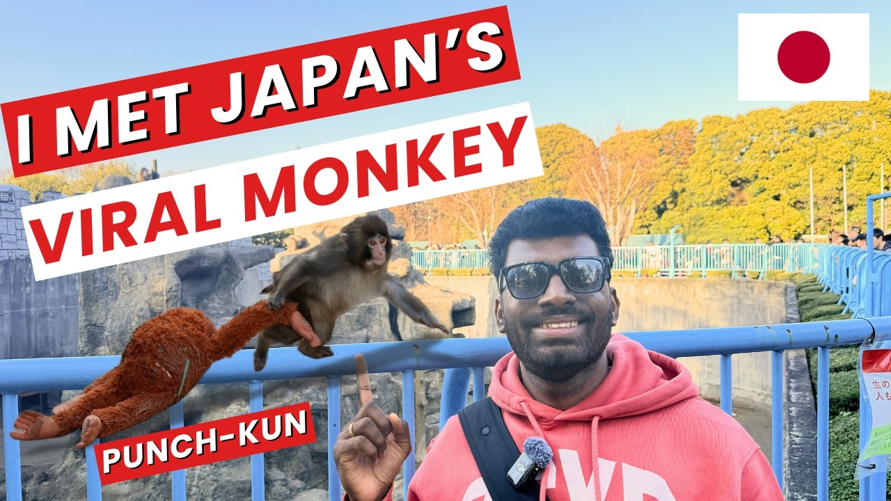 I Met Punch the Viral Monkey in Japan | Ichikawa Zoo Story | Indian in Japan