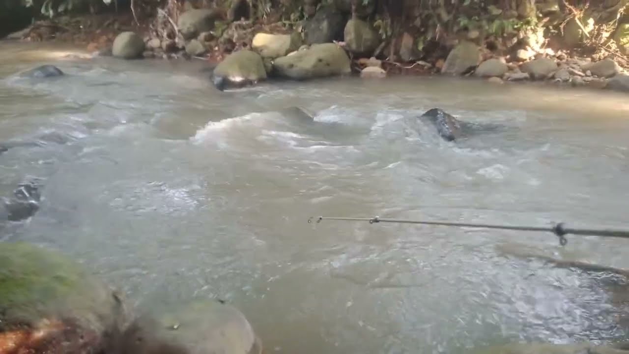 Tempate manganan banget koh malah olih e udu iwak