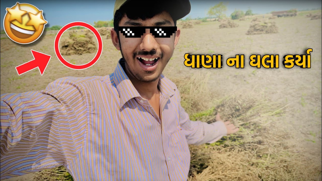 ધાણા ના ઘલા કર્યા..🤩 | 10 વિઘા ના ઘલા કર્યા..😳 | farming vlog 