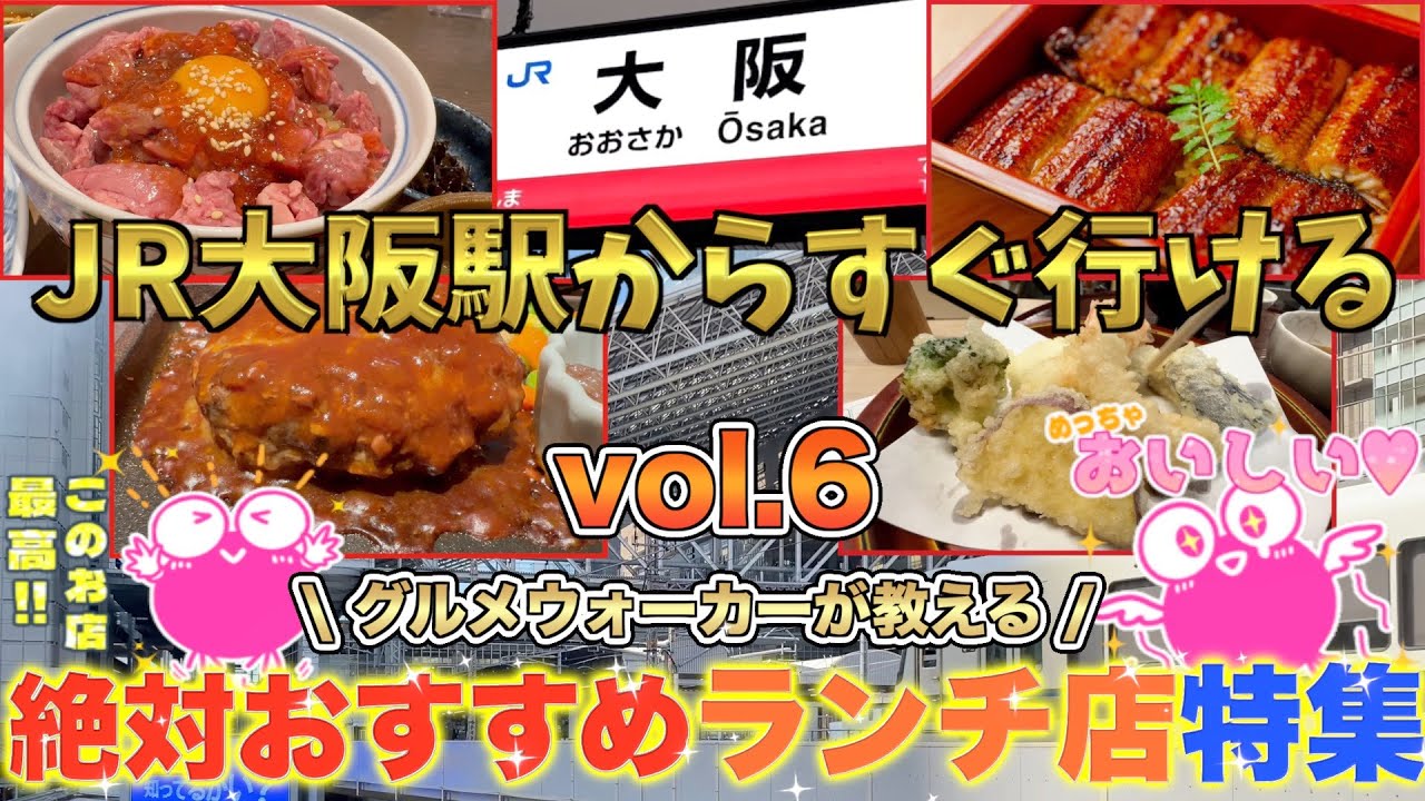 【梅田ランチ特集6】大阪駅周辺おすすめランチ❗️今回は鴨鍋、鰻、ハンバーグ、ステーキや肉寿司など