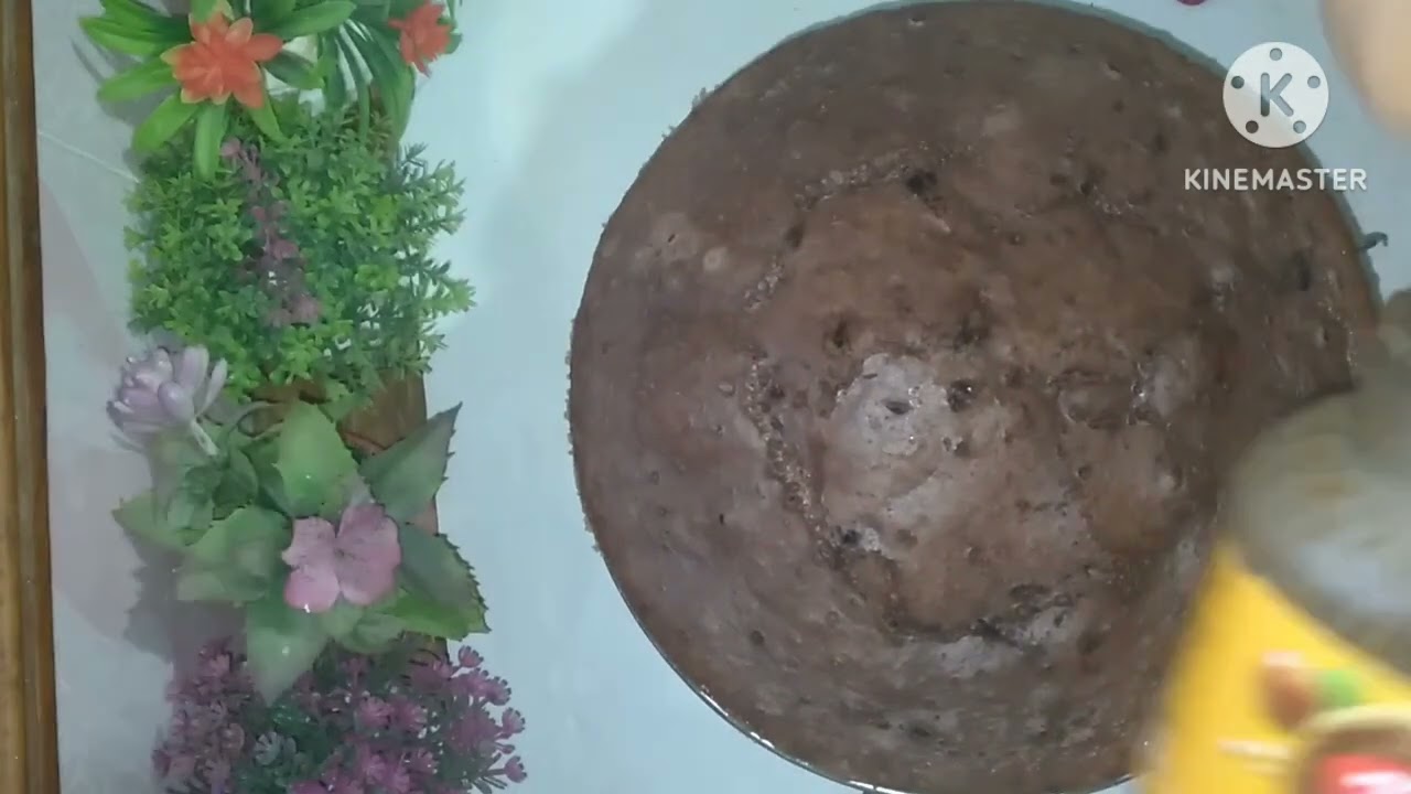 سلام أعليكم ورحمة الله وبركاته كيك 🥮التنجرة الضغط بالشكلاط 🍫