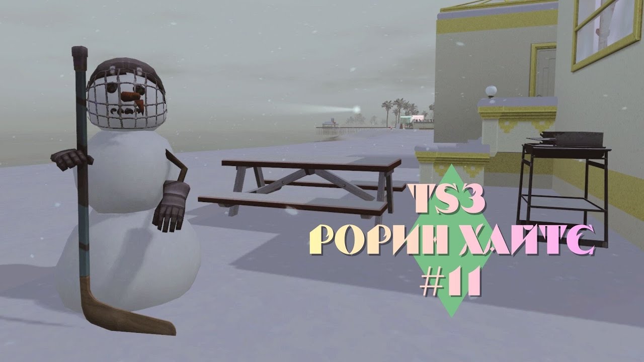 The Sims 3 Рорин Хайтс #11: Первый питомец, первая машина, первый друг и первый снег!
