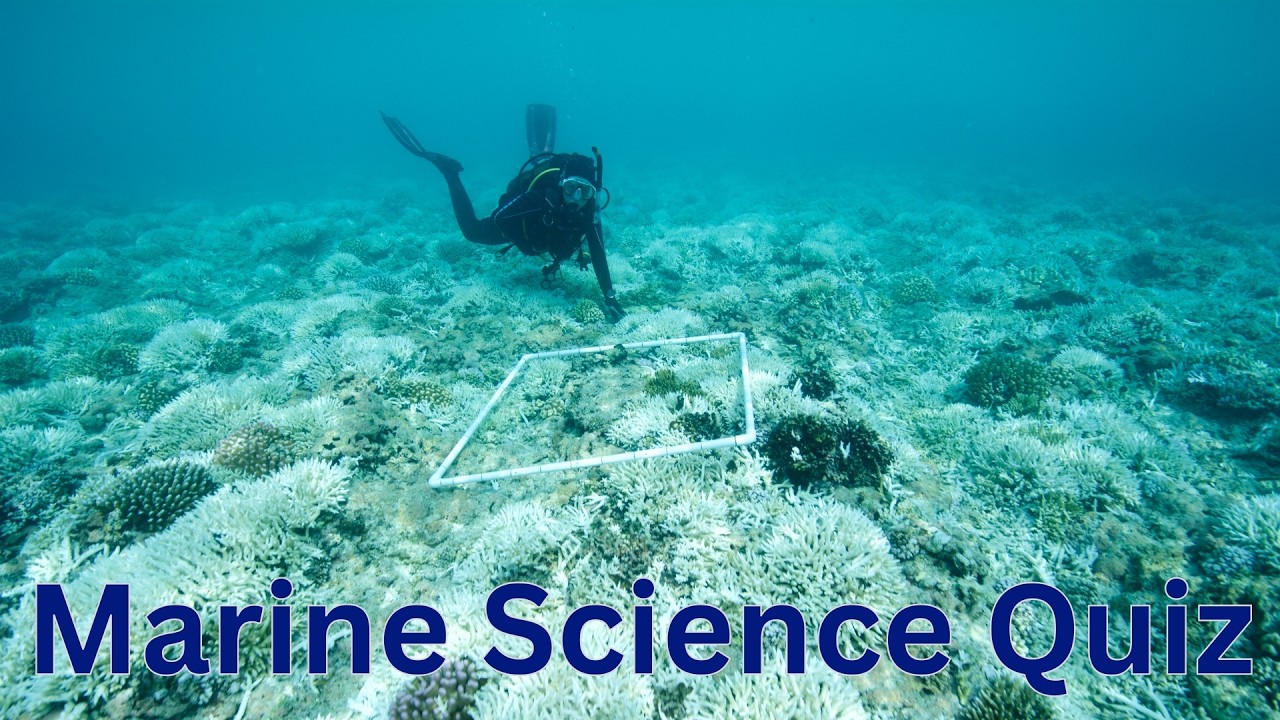 SeaWeek 2026: Marine Science Lunchtime Trivia