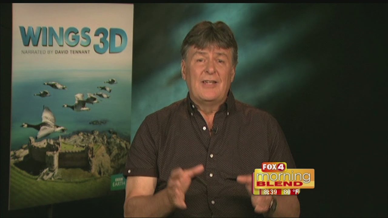 Wings 3D