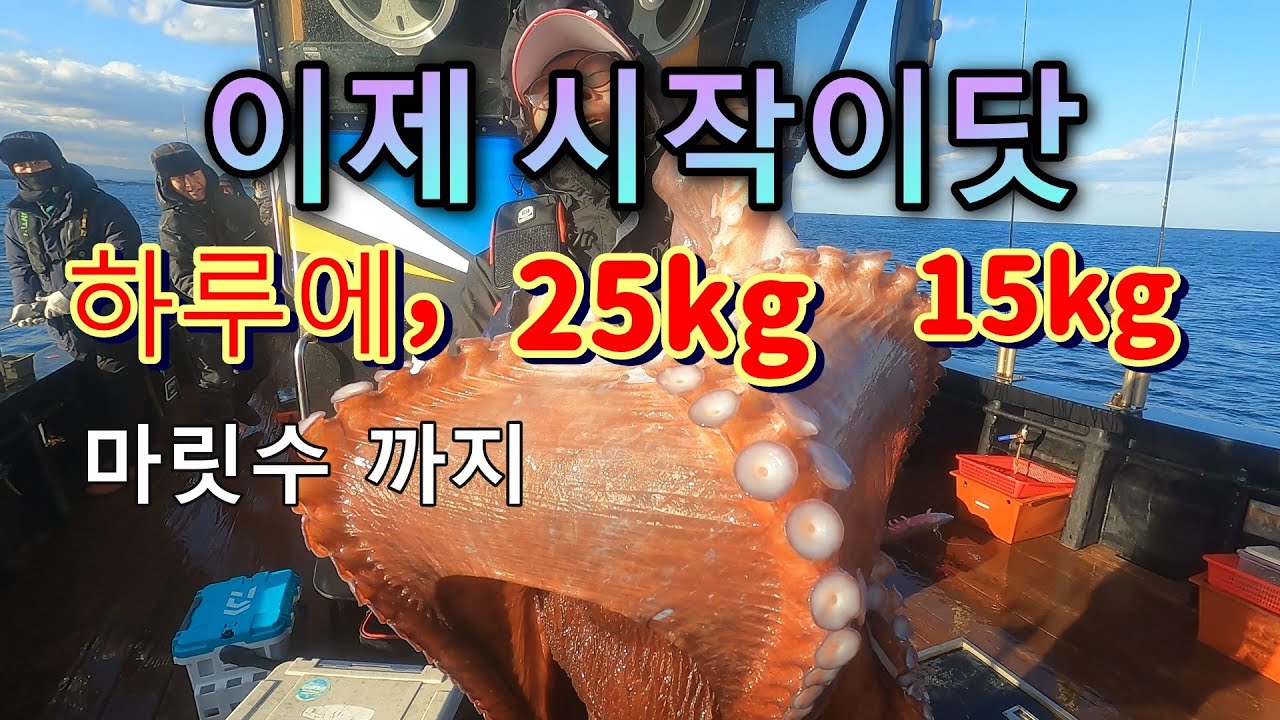 첫날부터 대왕 피문어 마리수 터졌. 강릉항 크라켄 낚시START.