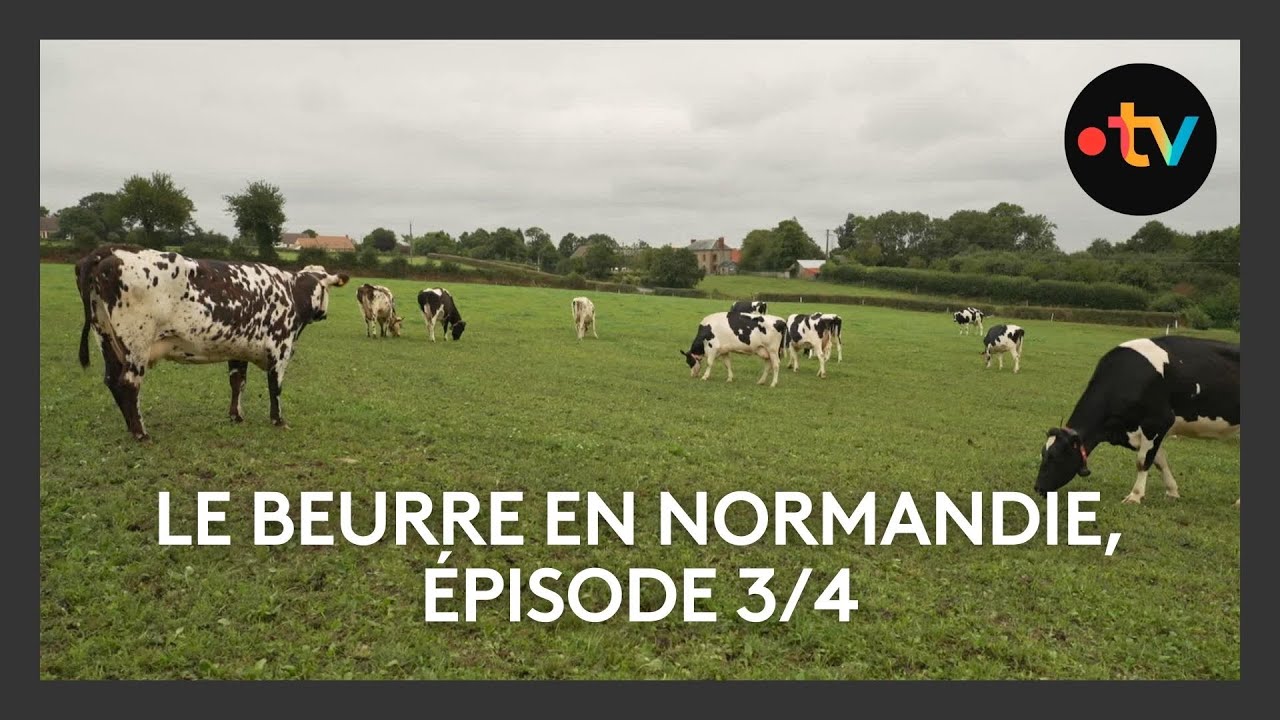 Le Beurre en Normandie, épisode 3/4 : un précieux label