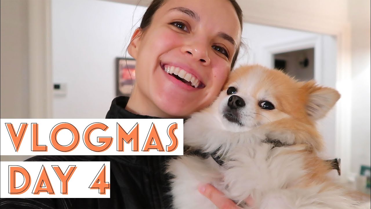 A Day of Small Victories VLOGMAS 2019 | Ingrid Nilsen