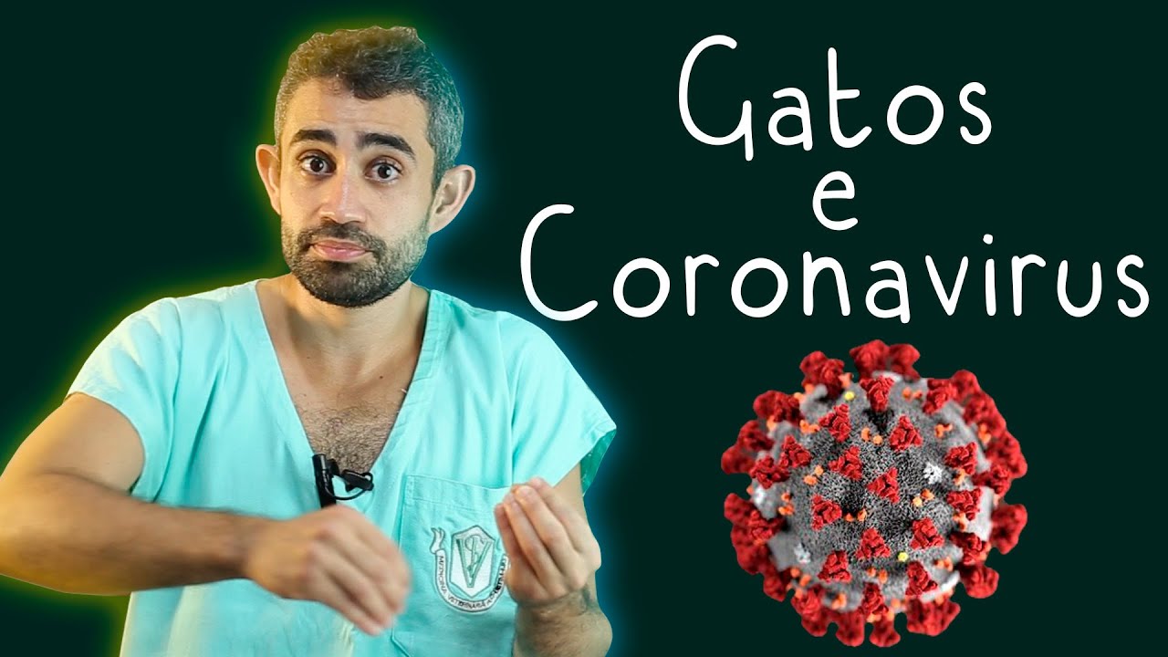 PIF | Dica Veterinária #35
