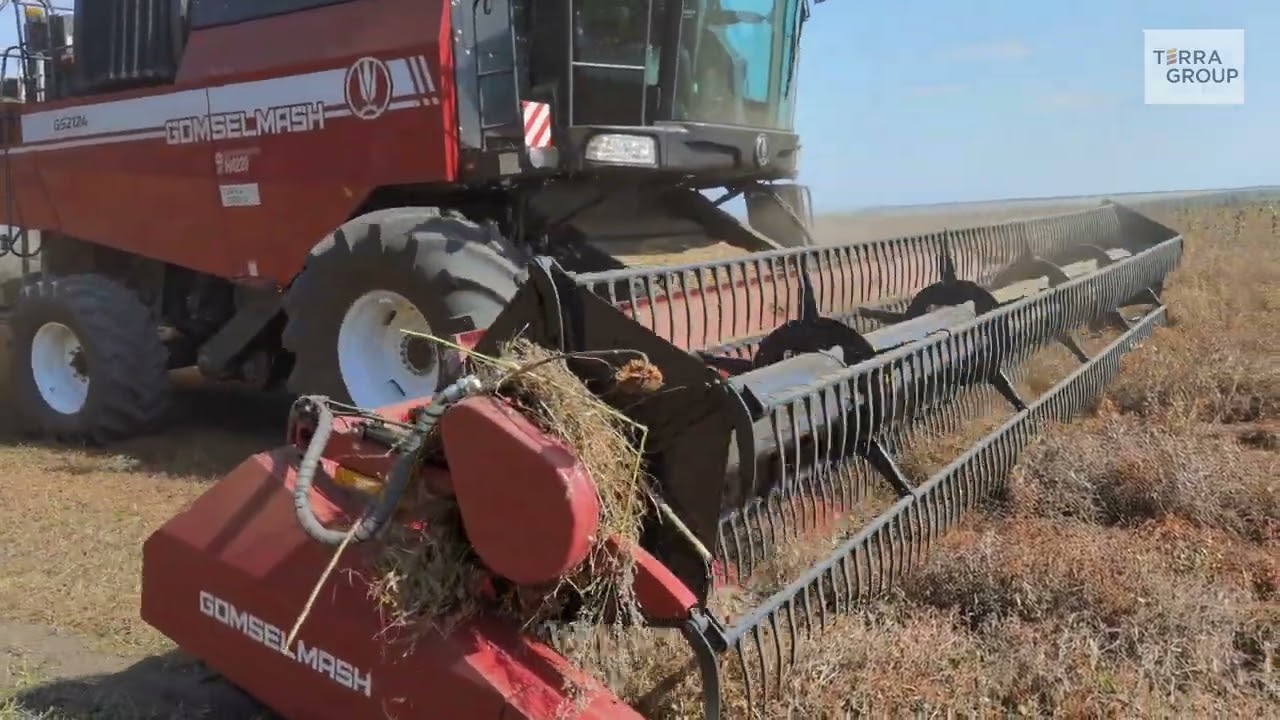 Комбайн GS2124 от Гомсельмаш: задаем вопросы с Terra Group