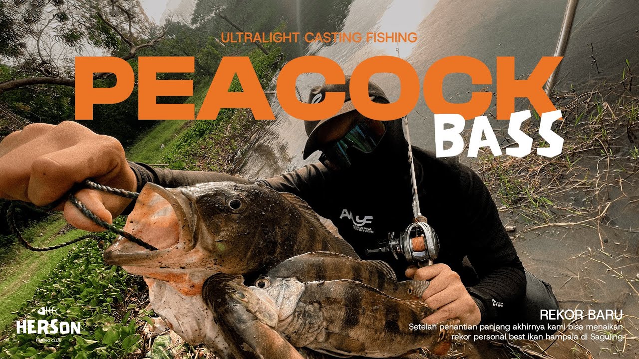 DISINI SPOT CASTING PBASS!!!, FRESHWOAHADEVENTURE VOL 1 BY MANCING MASIA