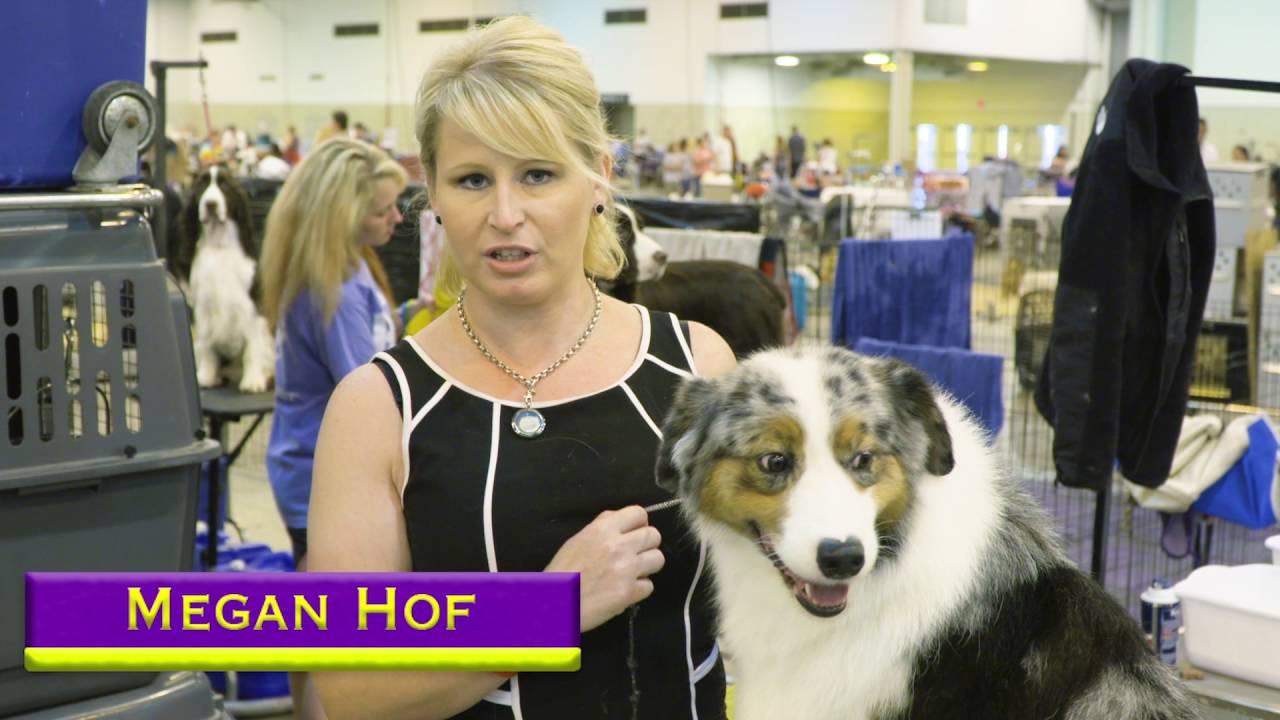 Road to Westminster (RTW): Pro Handler Megan Hof
