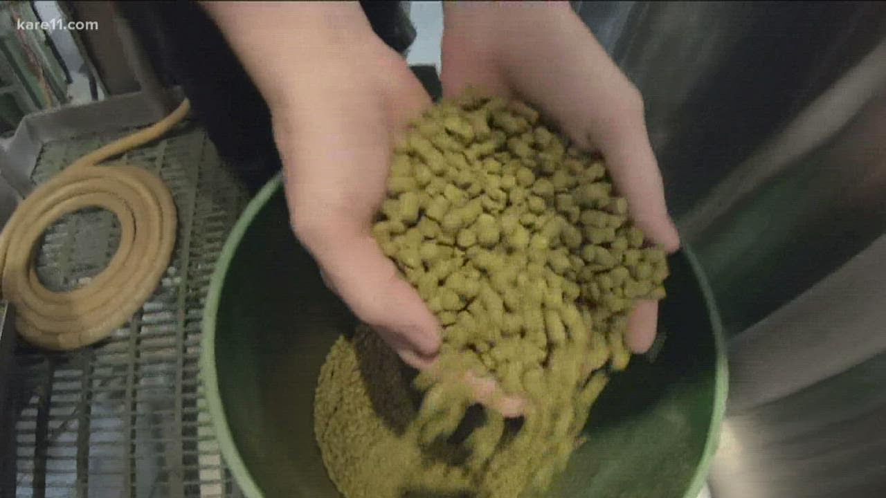 MN female brewers gather to inspire industry changes, create new beer